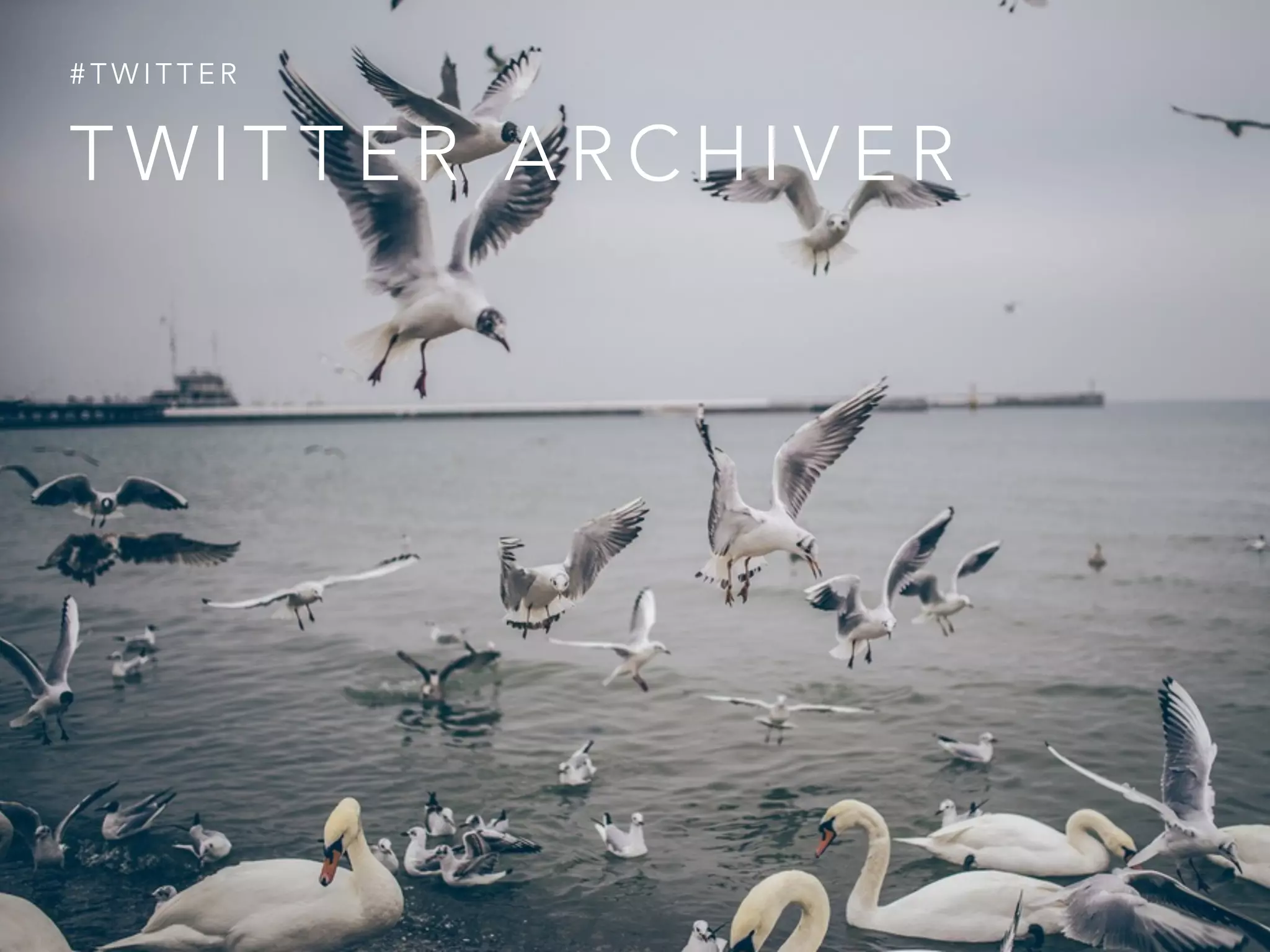 T W I T T E R A R C H I V E R
# T W I T T E R
