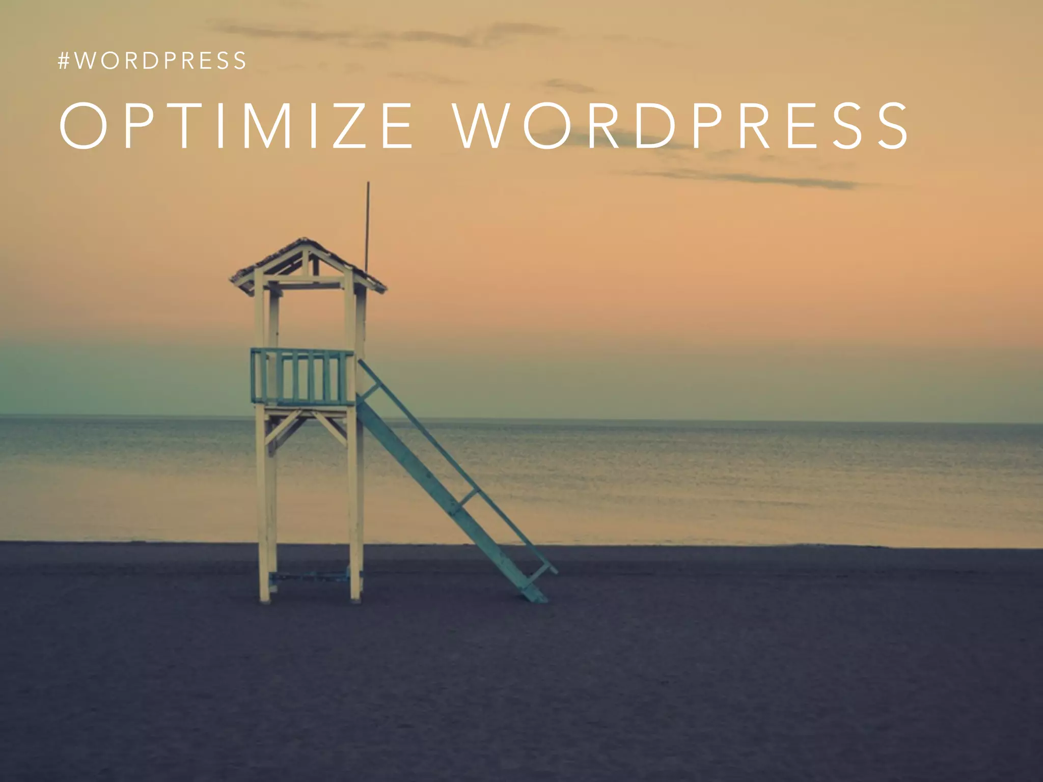 O P T I M I Z E W O R D P R E S S
# W O R D P R E S S