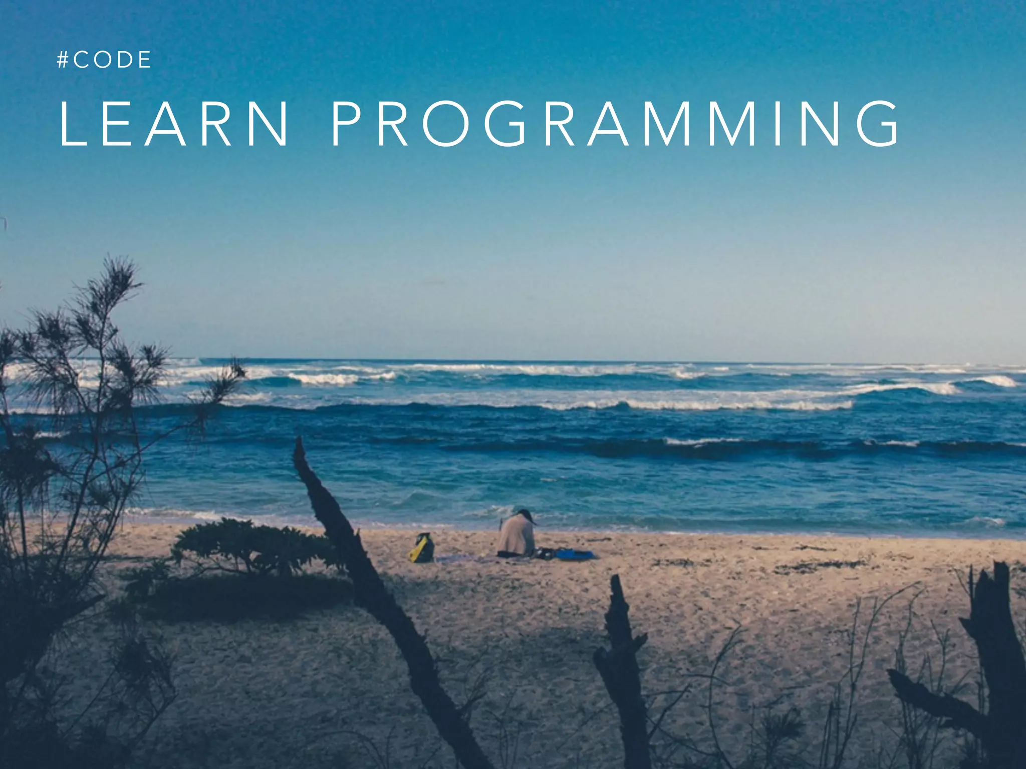 L E A R N P R O G R A M M I N G
# C O D E