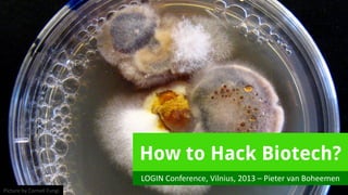 How to Hack Biotech?
                           LOGIN Conference, Vilnius, 2013 – Pieter van Boheemen
Picture by Cornell Fungi
 