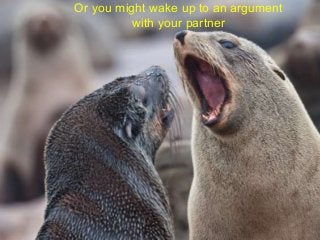 Or you might wake up to an argument
          with your partner
 