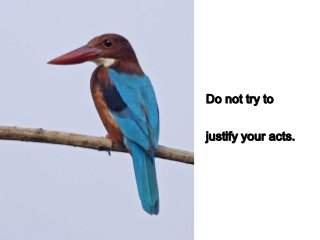 Do not try to


justify your acts.
 
