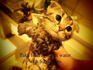 Take bath in warm water
    with fragrances.
 