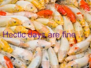 Hectic days are fine …
 