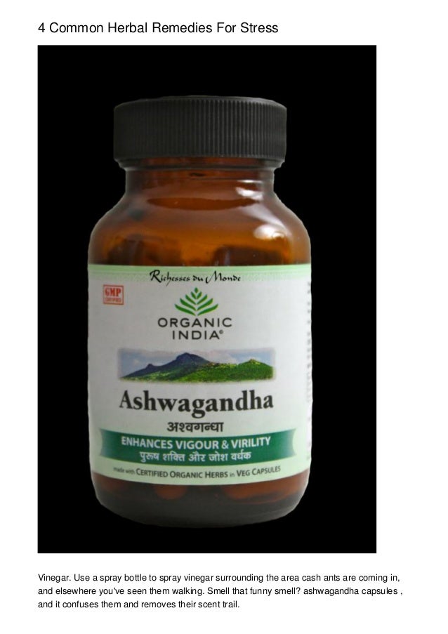 4 Common Herbal Remedies For Stress