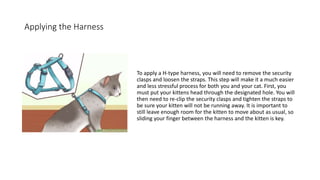 Applying the Harness
To apply a H-type harness, you will need to remove the security
clasps and loosen the straps. This step will make it a much easier
and less stressful process for both you and your cat. First, you
must put your kittens head through the designated hole. You will
then need to re-clip the security clasps and tighten the straps to
be sure your kitten will not be running away. It is important to
still leave enough room for the kitten to move about as usual, so
sliding your finger between the harness and the kitten is key.
 