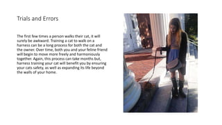 Trials and Errors
The first few times a person walks their cat, it will
surely be awkward. Training a cat to walk on a
harness can be a long process for both the cat and
the owner. Over time, both you and your feline friend
will begin to move more freely and harmoniously
together. Again, this process can take months but,
harness training your cat will benefit you by ensuring
your cats safety, as well as expanding its life beyond
the walls of your home.
 