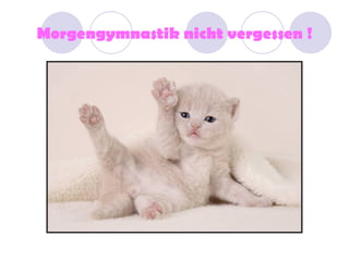 Morgengymnastik nicht vergessen !