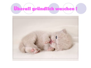 Überall gründlich waschen !