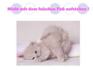 Nicht mit dem falschen Fuß aufstehen !