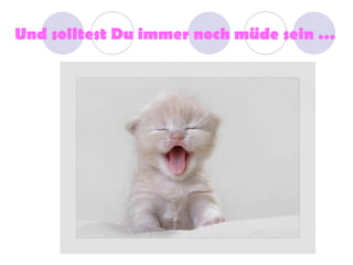 Und solltest Du immer noch müde sein …