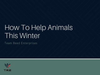How To Help Animals This Winter