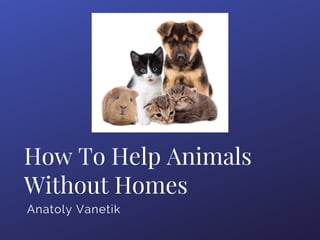 How To Help Animals
Without Homes
Anatoly Vanetik
 