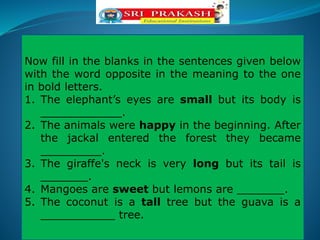 Now fill in the blanks in the sentences given below
with the word opposite in the meaning to the one
in bold letters.
1. The elephant’s eyes are small but its body is
____________.
2. The animals were happy in the beginning. After
the jackal entered the forest they became
_________.
3. The giraffe's neck is very long but its tail is
_______.
4. Mangoes are sweet but lemons are _______.
5. The coconut is a tall tree but the guava is a
___________ tree.
 