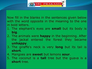 Now fill in the blanks in the sentences given below
with the word opposite in the meaning to the one
in bold letters.
1. The elephant’s eyes are small but its body is
big.
2. The animals were happy in the beginning. After
the jackal entered the forest they became
unhappy.
3. The giraffe's neck is very long but its tail is
short.
4. Mangoes are sweet but lemons sour.
5. The coconut is a tall tree but the guava is a
short tree.
 