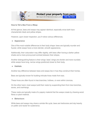 How to Identify Bees and Wasps.pdf