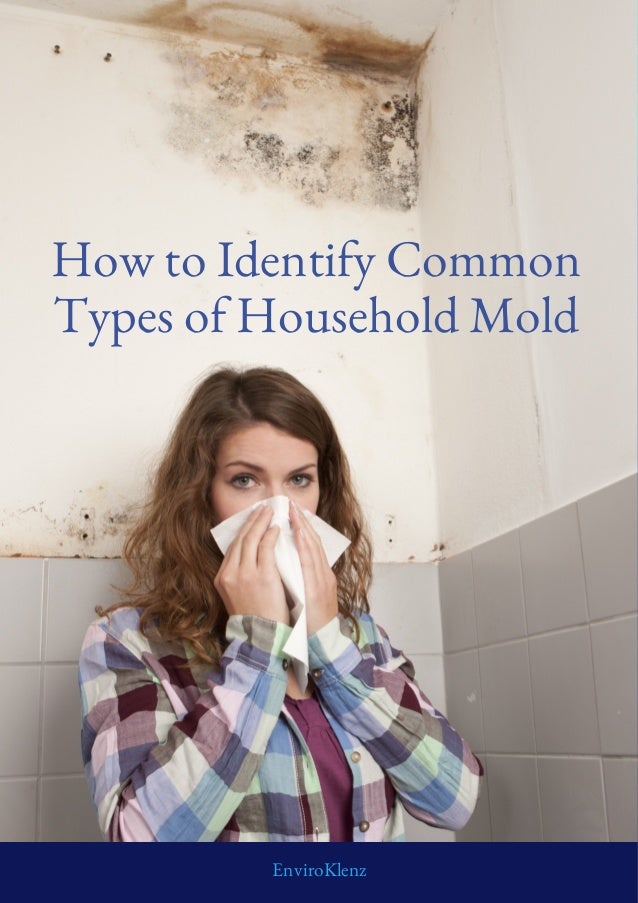 How to Identify Common Types of Household Mold