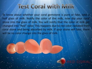 To know about whether your coral gemstone is pure or fake, take a
half glass of milk. Notify the color of the milk, now dip your coral
stone into the glass of milk. You will notify that the color of milk get
changed into “Red” color. This happens due to red color radiated from
coral stone and being absorbed by milk. If your stone will fake, there
will be no color change into the glass of milk.
 