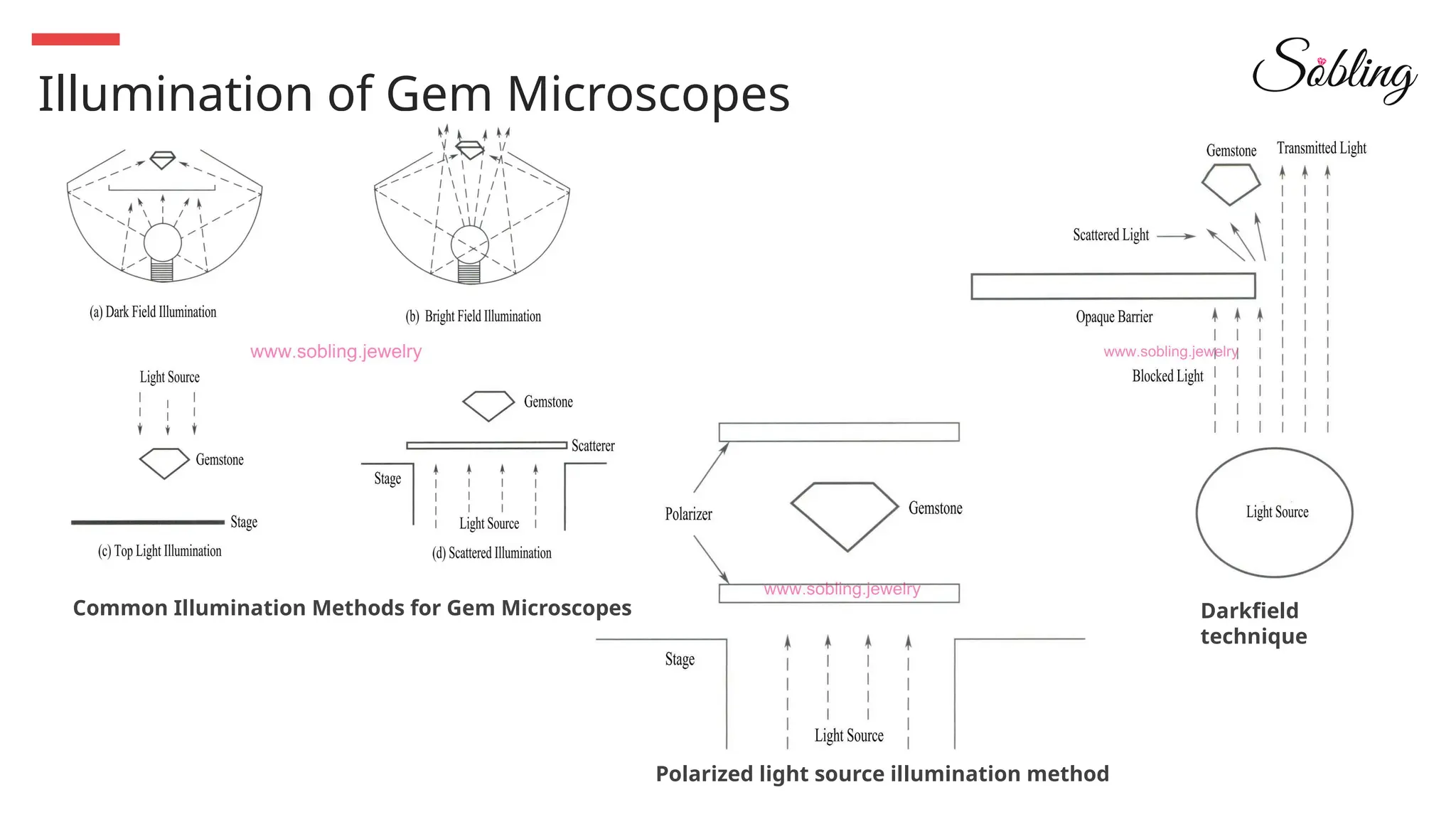 Illumination of Gem Microscopes
Darkfield
technique
Polarized light source illumination method
Common Illumination Methods for Gem Microscopes
 