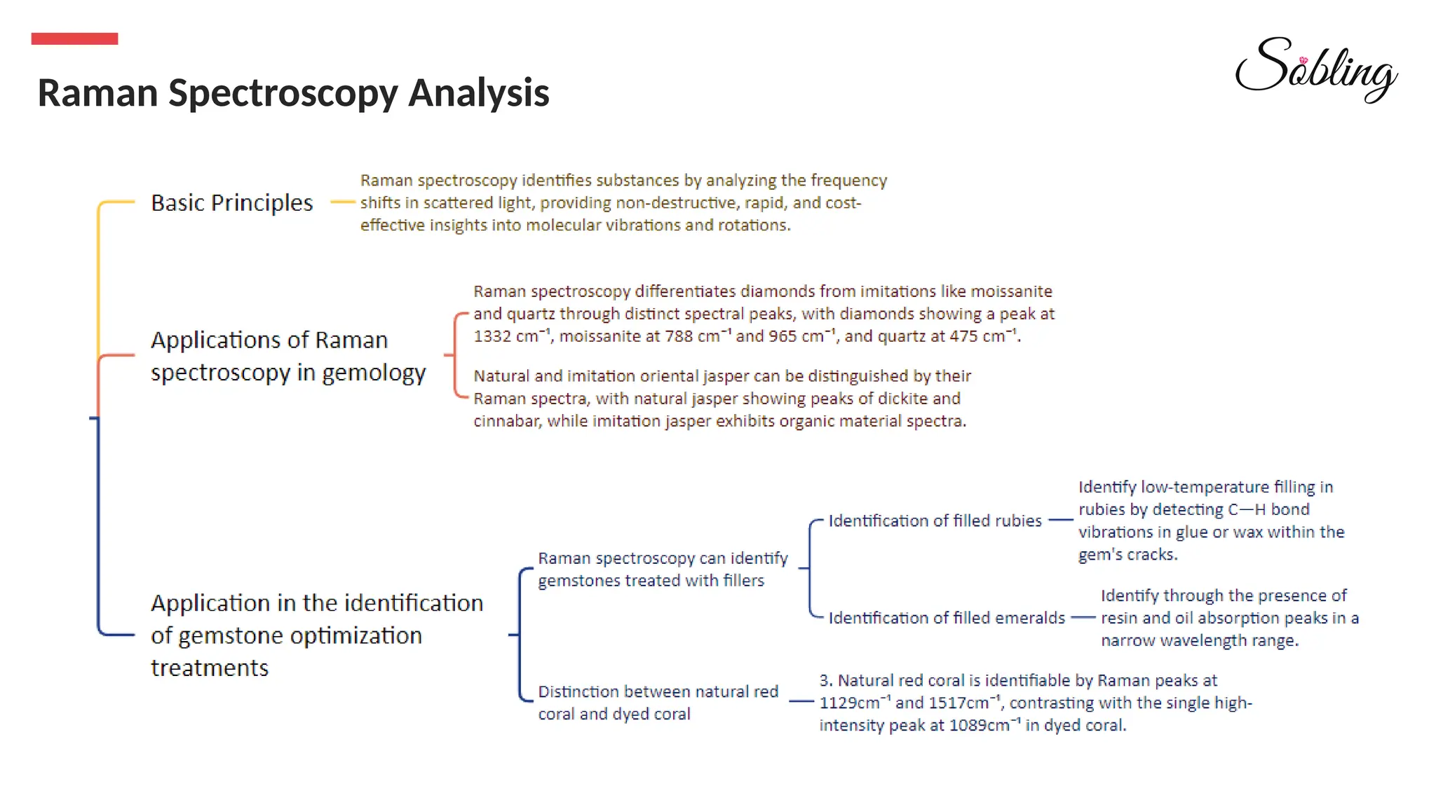 Raman Spectroscopy Analysis
 