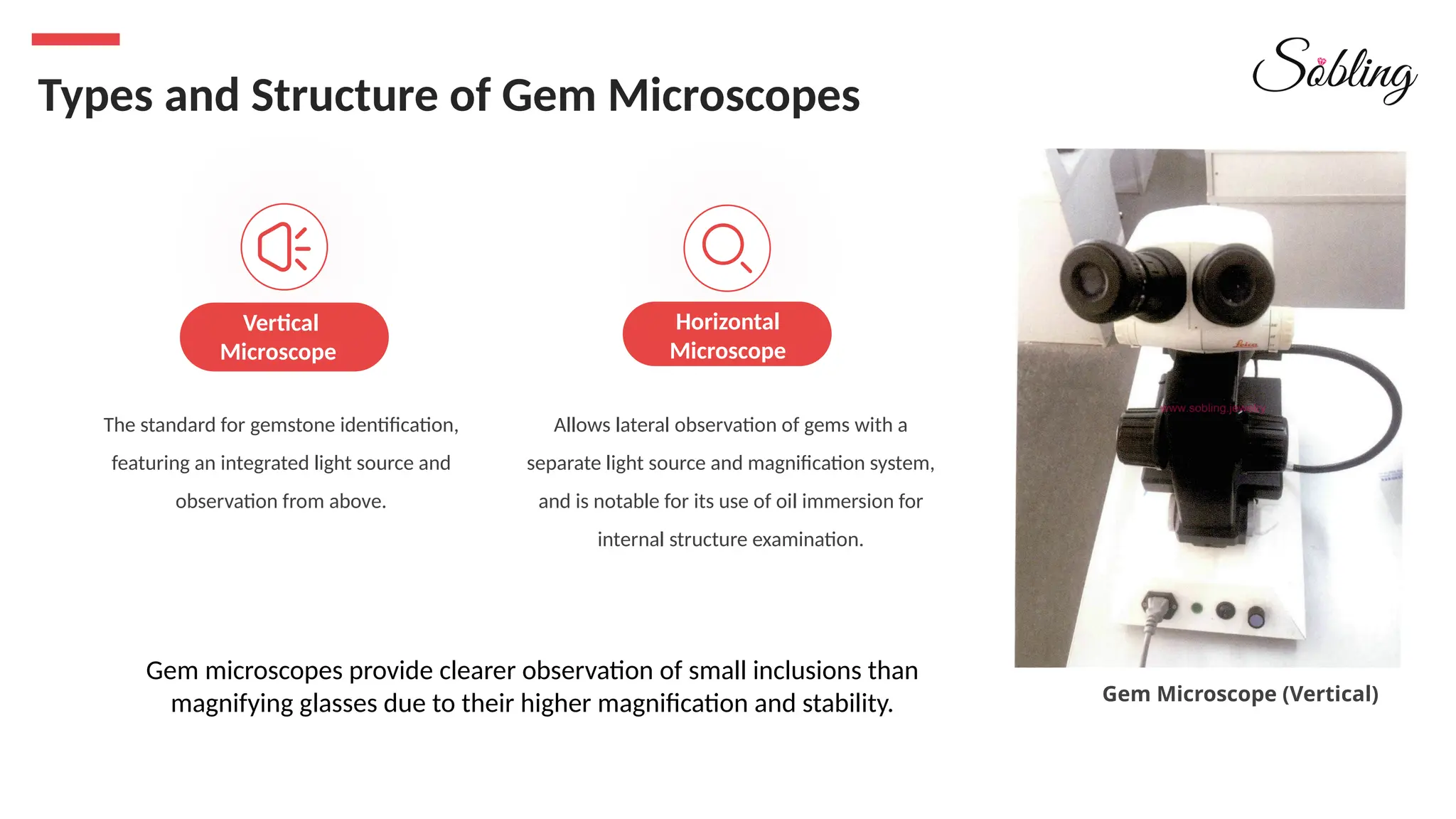 The standard for gemstone identification,
featuring an integrated light source and
observation from above.
Allows lateral observation of gems with a
separate light source and magnification system,
and is notable for its use of oil immersion for
internal structure examination.
Vertical
Microscope
Horizontal
Microscope
Types and Structure of Gem Microscopes
Gem Microscope (Vertical)
Gem microscopes provide clearer observation of small inclusions than
magnifying glasses due to their higher magnification and stability.
 