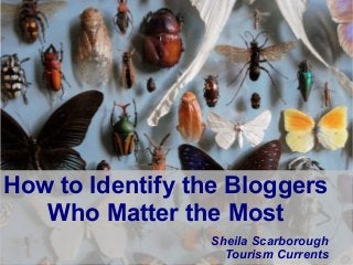 @SheilaS
@TourismCurrents
How to Identify the Bloggers
Who Matter the Most
Sheila Scarborough
Tourism Currents
 