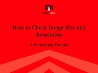 How to Check Image Size and Resolution A Formatting Tutorial 