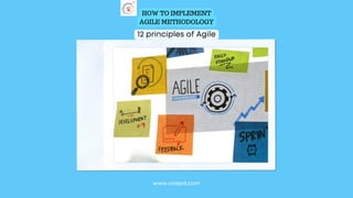 HOW TO IMPLEMENT
AGILE METHODOLOGY
12 principles of Agile
www.coepd.com
 