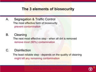 The 3 elements of biosecurityThe 3 elements of biosecurity
S & ff CS & ff CA. Segregation & Traffic ControlA. Segregation ...