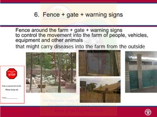 6 Fence + gate + warning signs6. Fence + gate + warning signs
Fence around the farm + gate + warning signsFence around the...