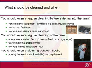 What should be cleaned and whenWhat should be cleaned and when
You should ensure regular cleaning before entering into the...