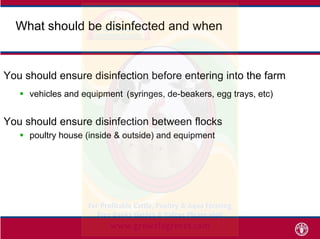 What should be disinfected and whenWhat should be disinfected and when
You should ensure disinfection before entering into...