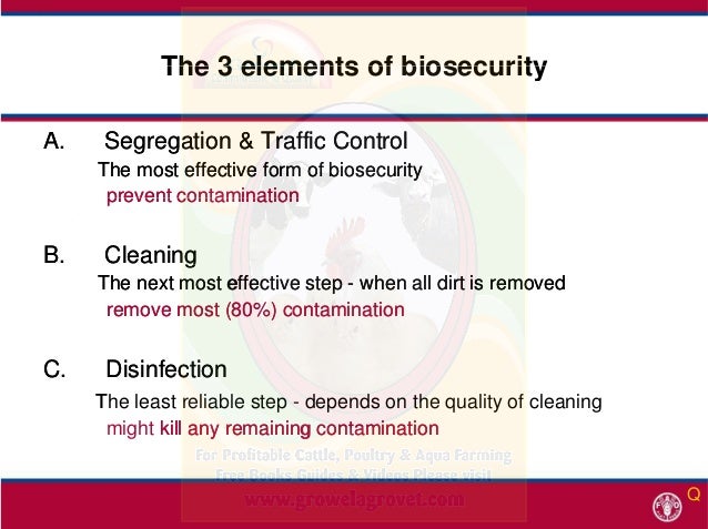 How To Implement Bio-Security in Poultry