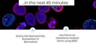 How to Implement Biomedical Named Entity Recognition with Machine ...