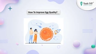 How To Improve Egg Quality?
 
