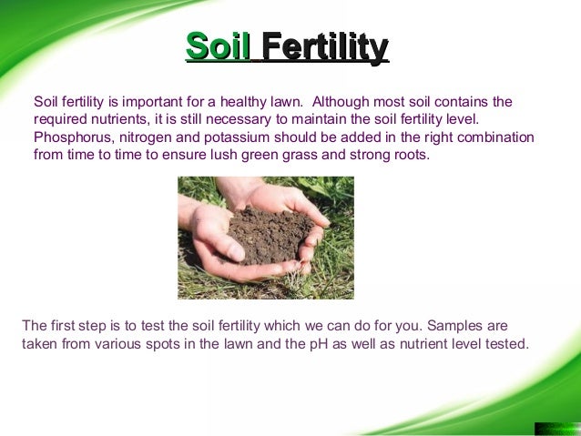 How To Improve Fertility Of Soil