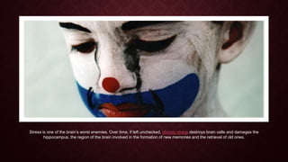 Stress is one of the brain’s worst enemies. Over time, if left unchecked, chronic stress destroys brain cells and damages the
hippocampus, the region of the brain involved in the formation of new memories and the retrieval of old ones.

 