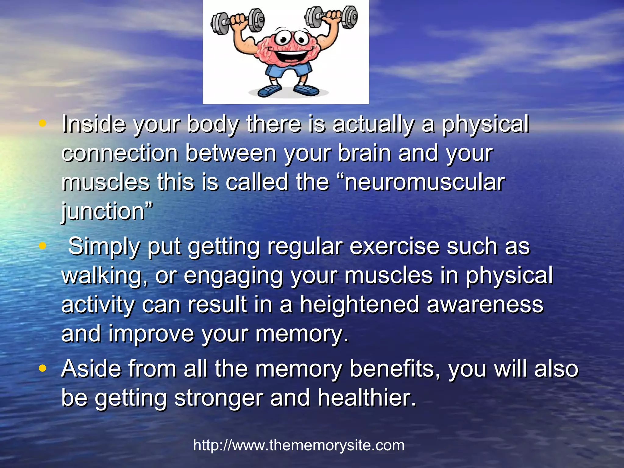 • Inside your body there is actually a physical
    connection between your brain and your
    muscles this is called the “neuromuscular
    junction”
•    Simply put getting regular exercise such as
    walking, or engaging your muscles in physical
    activity can result in a heightened awareness
    and improve your memory.
•   Aside from all the memory benefits, you will also
    be getting stronger and healthier.
                http://www.thememorysite.com
 