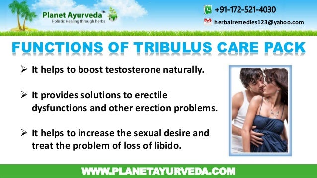 Can You Increase Low Testosterone Naturally Can You Increase Low Testosterone Naturally