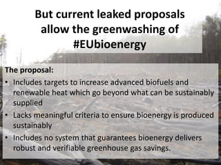 …and it’s rarely sustainable
Sustainable Forest Management is a
dangerous delusion. The claim that
SFM can be relied on to protect
Europe’s forests and help achieve a
sustainable bioenergy policy is a
fallacy.
 