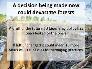 Four simple asks to avoid a
#biomess:
1. Avoid targets that encourage unsustainable burning of
biomass.
2. No incentives to burn whole trees or roundwood.
3. Phase out all use of land-based crops for bioenergy.
4. Keep the ban on subsidies for burning biomass in
electricity-only installations.
 