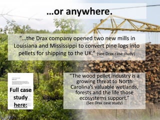 Forests have multiple
uses, for
• The climate
• Biodiversity
• People
• Materials
• Livelihoods
• Food
But there is not enough wood…
When we remove forests, emissions
go up, and biodiversity goes down.
Full
briefing
here:
 