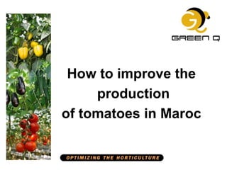 How to improve the
production
of tomatoes in Maroc
 