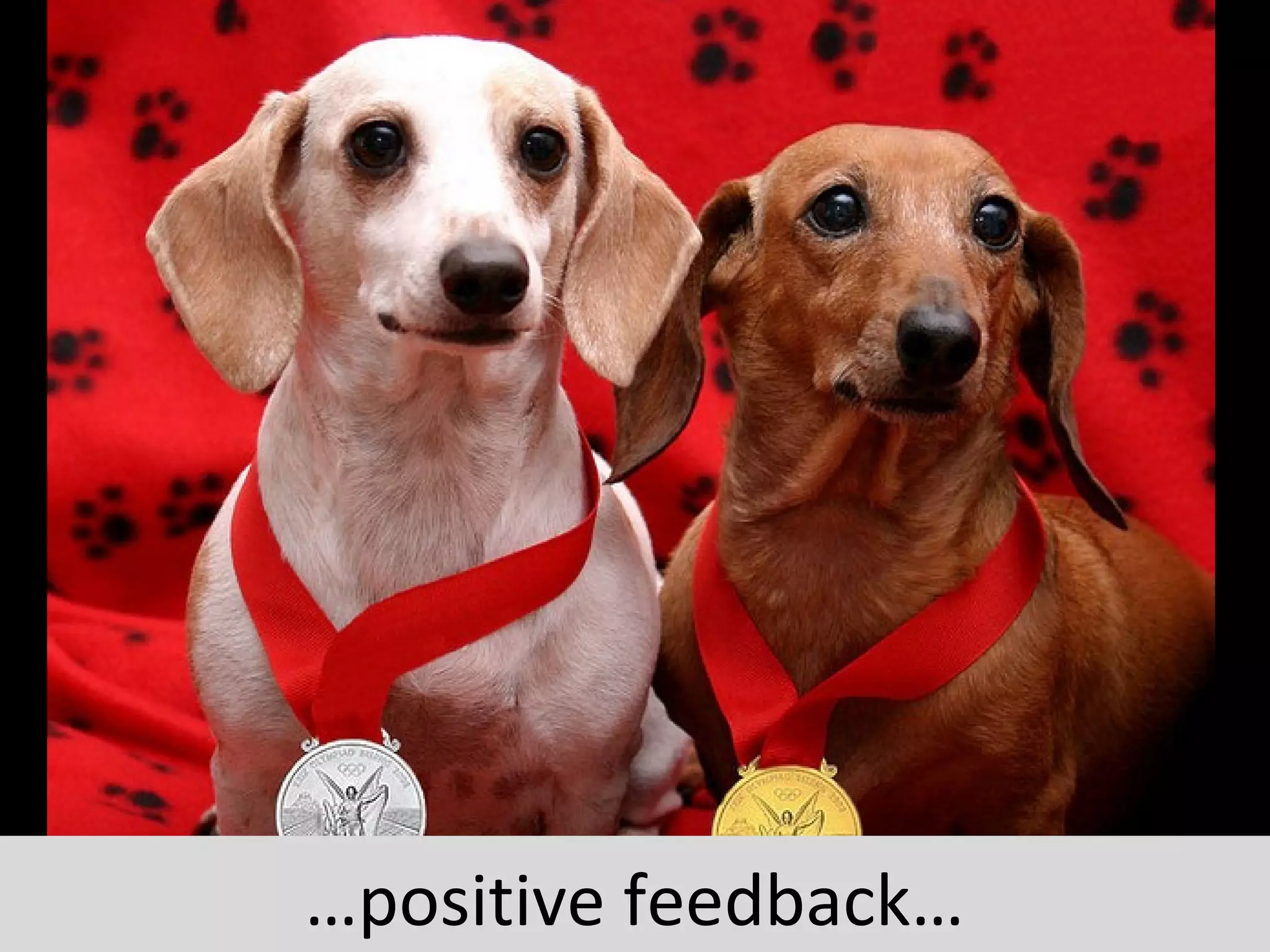 …positive feedback…
 