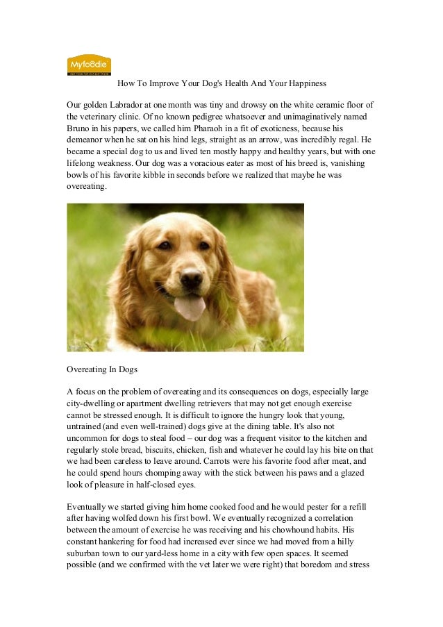 Improve your dog's health