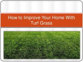 How to Improve Your Home With
Turf Grass
 