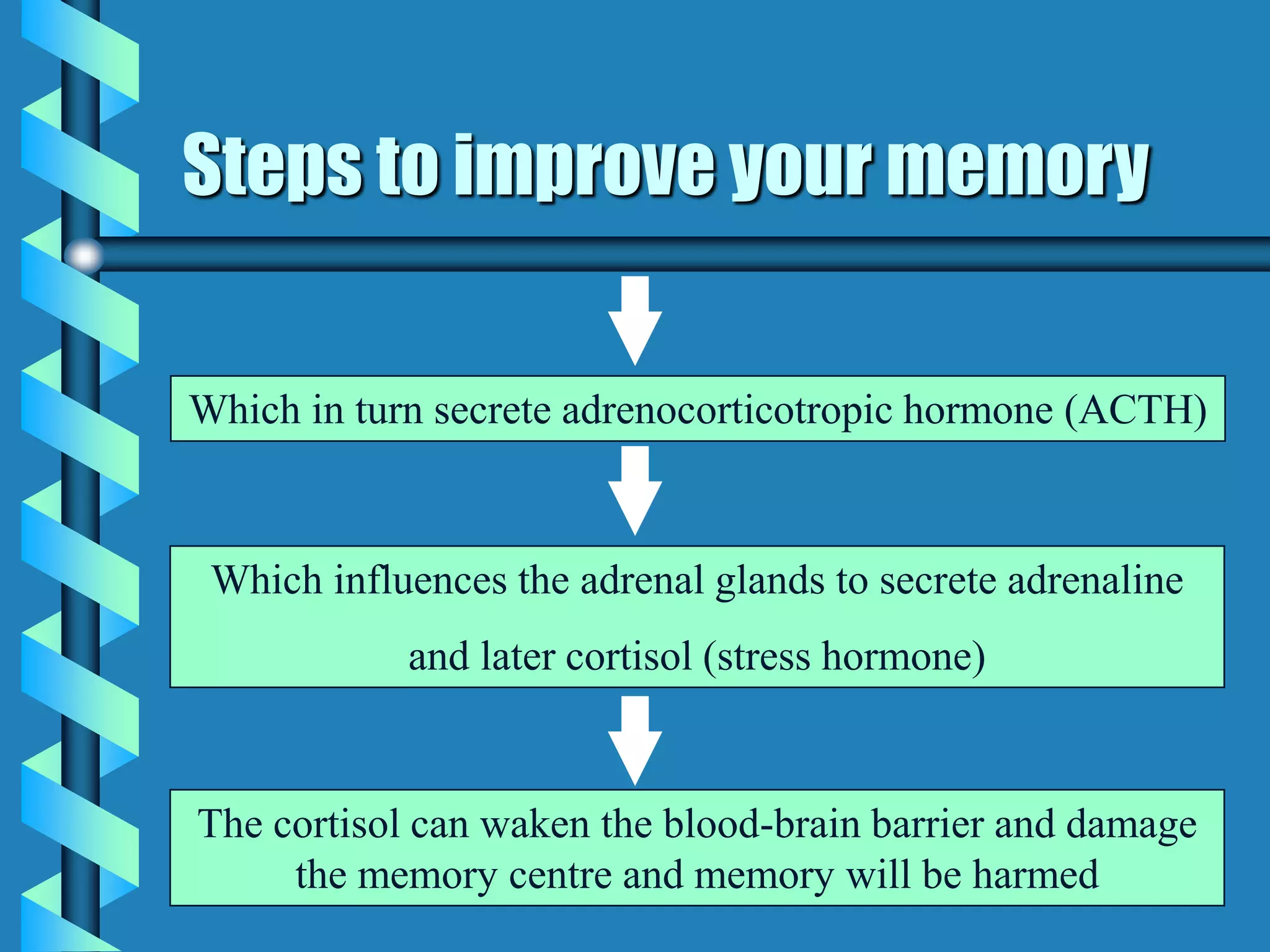Steps to improve your memory
Which in turn secrete adrenocorticotropic hormone (ACTH)
Which influences the adrenal glands to secrete adrenaline
and later cortisol (stress hormone)
The cortisol can waken the blood-brain barrier and damage
the memory centre and memory will be harmed
 
