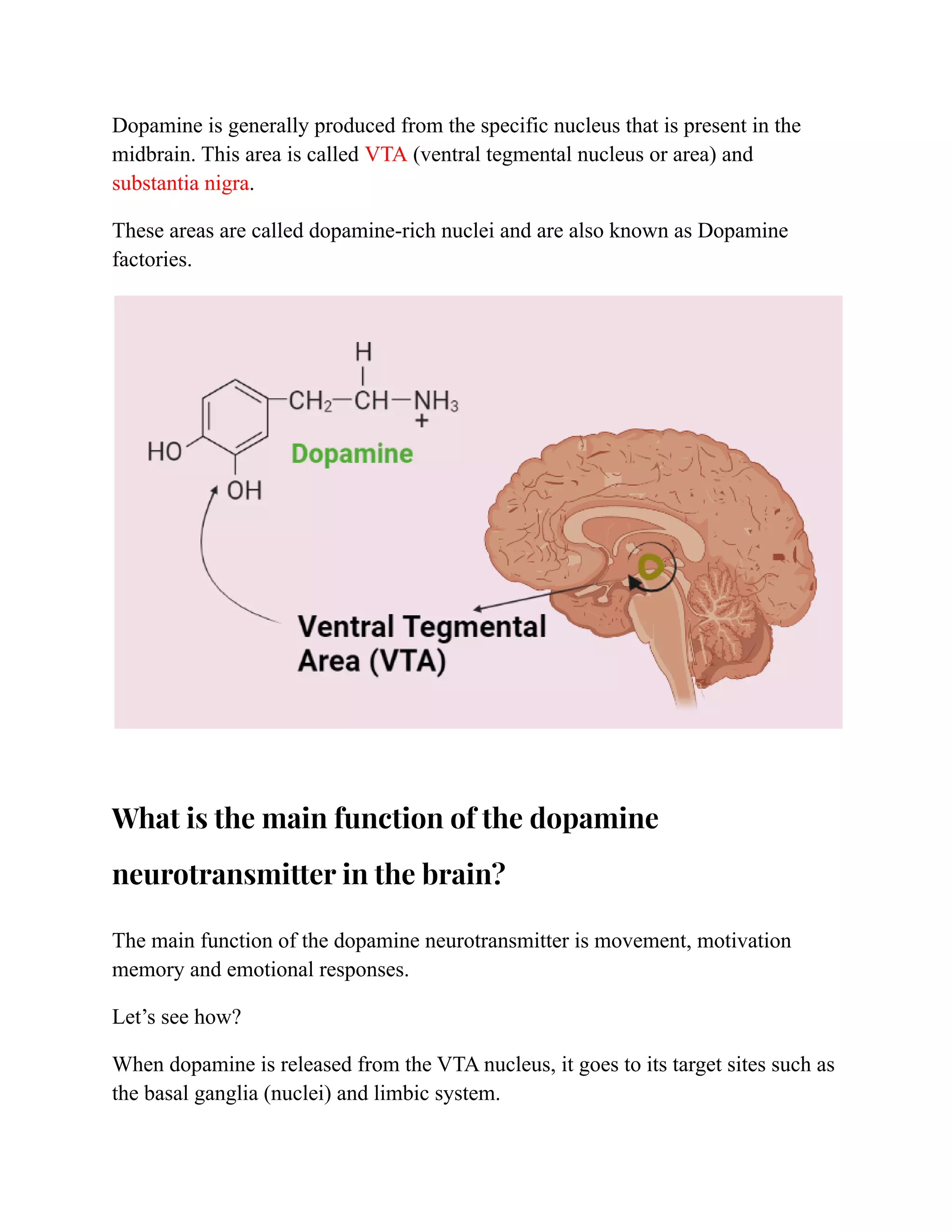 Dopamine is generally produced from the specific nucleus that is present in the
midbrain. This area is called VTA (ventral tegmental nucleus or area) and
substantia nigra.
These areas are called dopamine-rich nuclei and are also known as Dopamine
factories.
What is the main function of the dopamine
neurotransmitter in the brain?
The main function of the dopamine neurotransmitter is movement, motivation
memory and emotional responses.
Let’s see how?
When dopamine is released from the VTA nucleus, it goes to its target sites such as
the basal ganglia (nuclei) and limbic system.
 