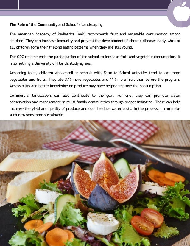 How to Increase the Fruit and Vegetable Intake of American Children