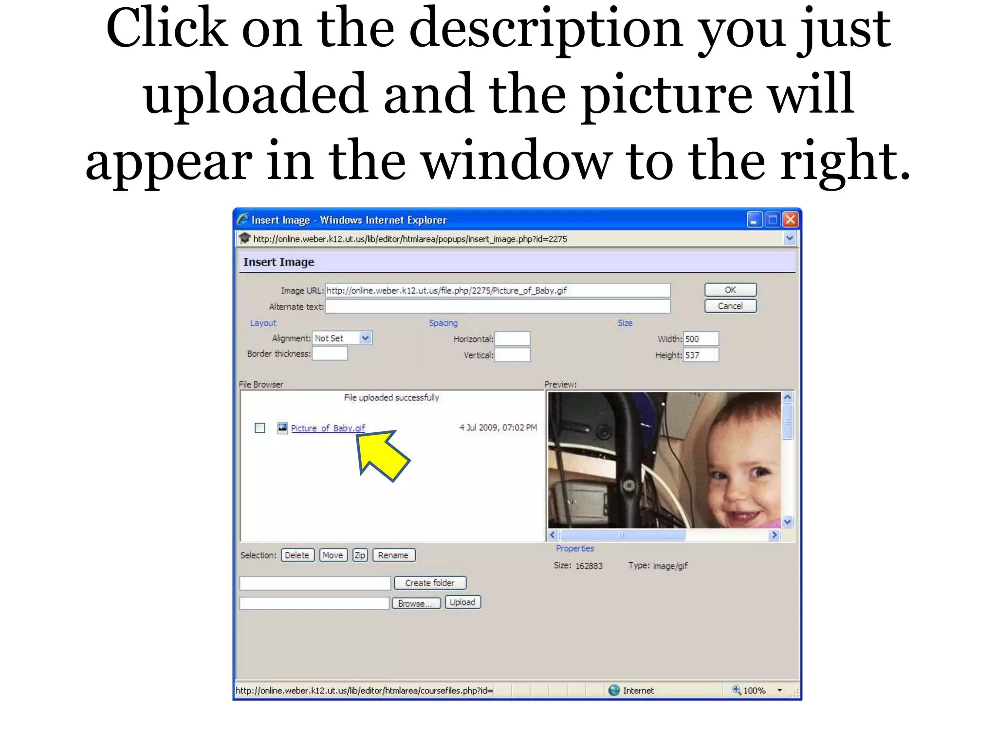 Click on the description you just uploaded and the picture will appear in the window to the right.